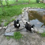 Blonbauer Фермерський будинок